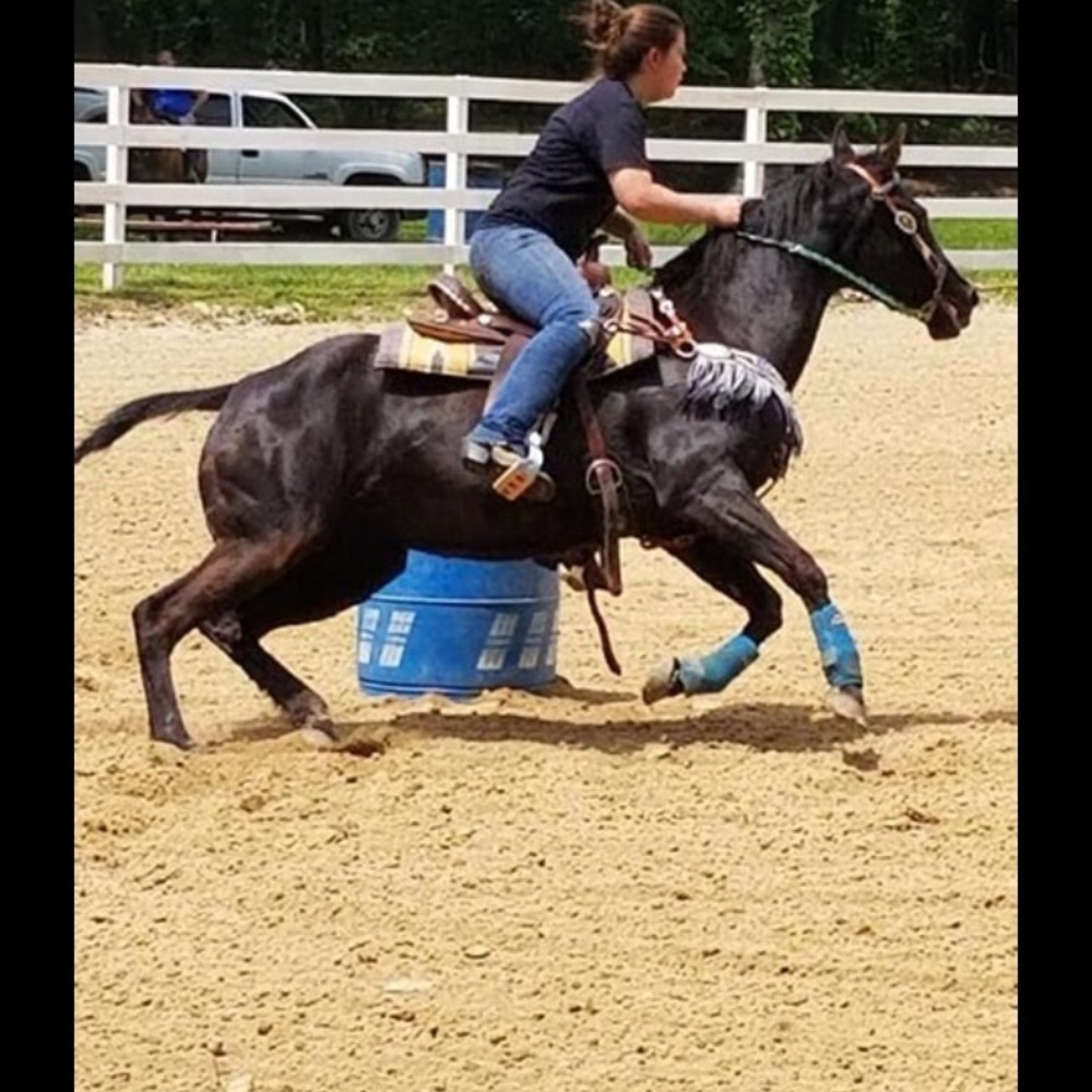 Meet your Posher, Maggie